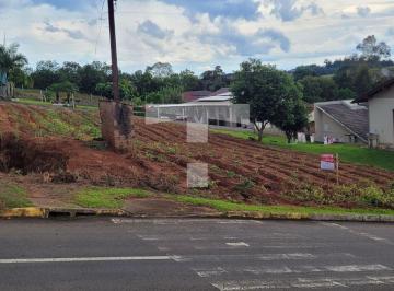 20260217_171654-17714183071722.jpg · Lote Urbano