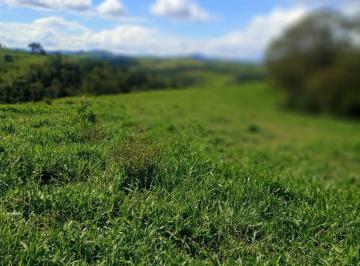 Imagem 1 · Fazenda para venda em Palmeiral, Botelhos