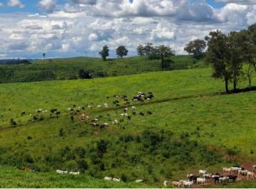 Imagem 1 · Fazenda para venda em Palmeiral, Botelhos