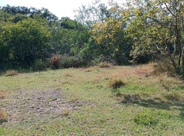 uqgibepsun6s7ksy8avc5q84bzga · Fazenda em Belém Novo