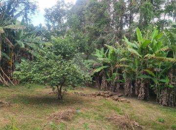 Terreno · 200m² · 4 Quartos · 3 Vagas · Chácara para venda em Pau Arcado de 200.00m² com 4 Quartos, 1 Suite e 3 Garagens