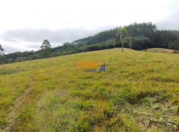 e4ltvj82otjmntg4njk0ndy1_md · Sítio, Area, Propriedade em Angelina - 740000m², Pastagem e natureza