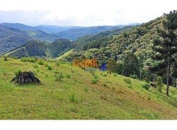 xlawldc2ntdkoduxytbmyji0_md · Sítio para Venda com linda vista Oportunidade em Anitápolis - 230000m²