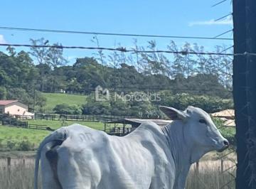 Rural · Fazenda em Araruama
