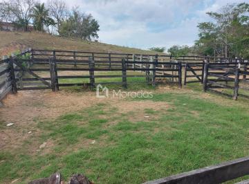 Rural · 3 Quartos · Fazenda em Fazendinha  -  Cardoso Moreira