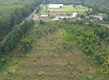 Rural , Montenegro · ÁREA PARA SÍTIO OU EMPRESA OU LOTEAMENTO COM 200 MT DE FRENTE A RS 124 E 2 KM DE MONTENEGRO