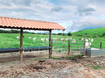 202411081400224277.jpg · Fazenda para Venda em Casimiro de Abreu, Casemiro de Abreu, 3 dormitórios, 1 suíte, 2 banheiros, 3 v