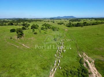 202501231329176717.jpeg · Fazenda para Venda em Araruama, São vicente de paula