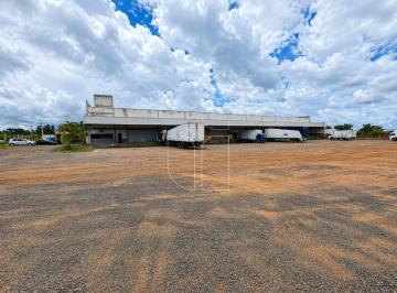 Comercial · 3000m² · Galpão 3.000m² · Distrito Industrial Santo Barion · Marília