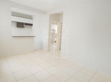 Apartamento · 40m² · 2 Quartos · Apartamento 2 dormitórios no Parque Residencial Casablanca · Jardim Califórnia,