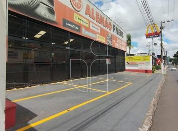Comercial · Barracão em Fragata - Marília