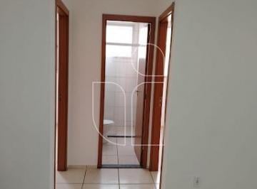 Apartamento · 40m² · 2 Quartos · 1 Vaga · Apartamento em Jardim California - Marília