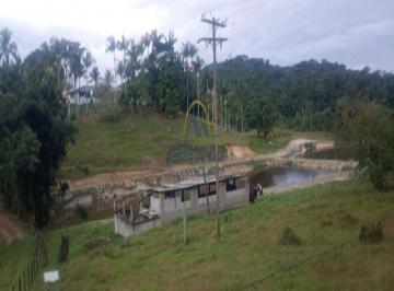 Rural , Juquiá · Sítio Produtivo à Venda em Juquiá/SP (10 Alqueires)
