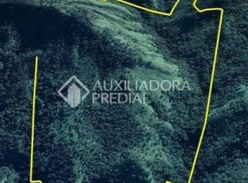 Rural · 912600m² · Sítio à venda, 912600 m² por R$ 849.000,00 - Caçadorzinho - Adrianópolis/PR