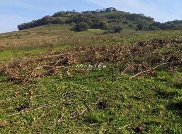 Rural · 29ha · Área Rural, Agricultura, Pecuária, São Martinho