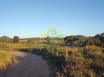 Foto 01 · Fazenda, Zona Rural de Camapuã Ms, Camapuã, MS