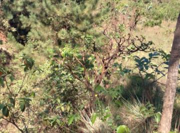 Terreno , Ceilândia · Terreno com 20.000m2 aceito trocas em veículos de até 80 mil