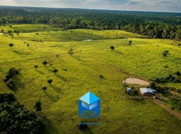 Rural · 6800000m² · Excelente Fazenda à Venda no Distrito de Nova Califórnia – Porto Velho/RO