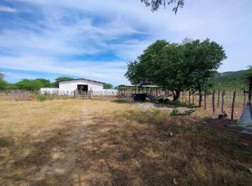 Imóvel Rural, 76ha, Sertânia/PE - Foto [1] · Imóvel Rural, 76ha, Sertânia/PE