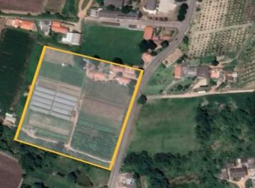 Comercial · 35000m² · Imóvel Comercial para venda em BOM JARDIM de 35000.00m²