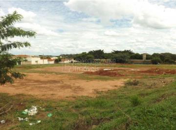 Terreno · 8127m² · Terreno para venda em Vila Bela Vista de 8127.00m²