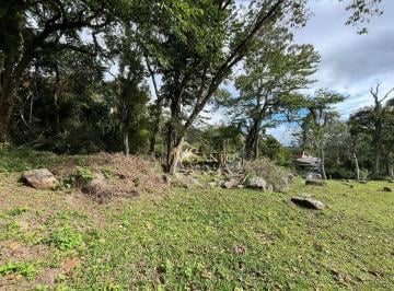 3128fd38f814e90ed2b6adb4c13cd8a402307acc · Sítio à venda, 1840 m² por R$ 990.000,00 - Vargem Do Bom Jesus - Florianópolis/SC