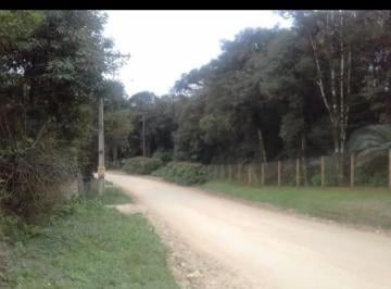 Terreno , São José dos Pinhais · Terreno 2.200 m² + Barracão 330 m² | São José dos Pinhais | R$ 550 Mil