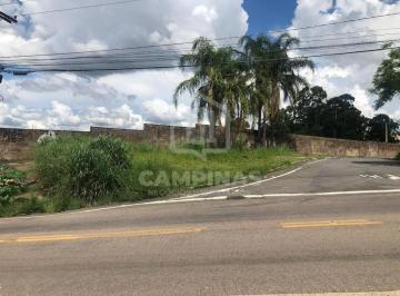 Terreno · 10500m² · Área à venda e para alugar em Campinas, Parque Camélias, com 10500 m²