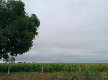 202606161034114849.jpeg · Chácara para Venda em Sidrolândia, Zona Rural de Sidrolândia, 3 dormitórios, 1 banheiro