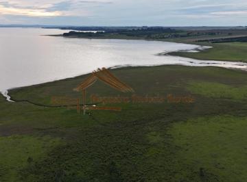 Rural , Avaré · Fazenda com 48 alqueires à venda em Avaré-SP