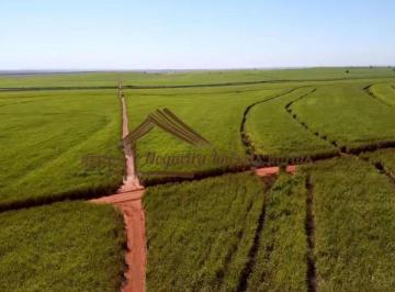 Rural , Pereira Barreto · Fazenda a venda na região de Pereira Barreto-SP