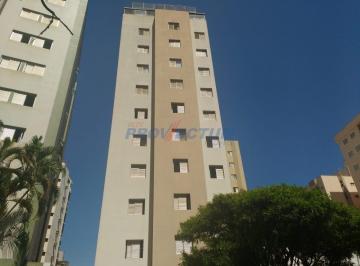 0 · cobertura á venda e para aluguel em Cambuí