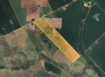 Imóvel Rural 54 ha - Tabaporâ - MT - Foto [0] · Imóvel Rural 54 ha - Tabaporâ - MT