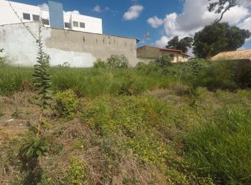Terreno · 380m² · Terreno Comercial em Centro