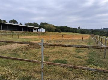 Código do Imóvel: CM1882795-1 - Imóvel anunciado por Lopes & Ribeiro Imóveis - C · Fazenda / Sítio para venda em Conjunto Habitacional Antonio Hermínio Delevedove de 230.00m² com 3 Qu