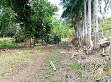 Rural , São Paulo · SÍTIO EM ELDORADO/SP: RETORNO IMEDIATO COM 40 MIL PÉS DE PUPUNHA EM PLENA PRODUÇÃO!