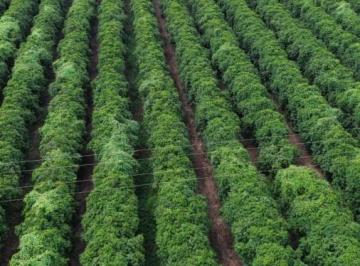 202606162049052363.jpeg · Fazenda para Venda em Patos de Minas