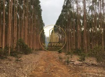 Rural · 19122m² · 20 Vagas · Fazenda à venda, 20 vagas, Centro - Montes Claros/MG
