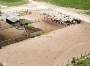 Rural · 178m² · 3 Quartos · 8 Vagas · Fazenda à venda, 3 quartos, 3 suítes, 8 vagas, Centro - Baianópolis/BA