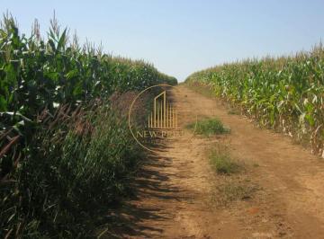 Rural · 472m² · 5 Quartos · 20 Vagas · Fazenda à Venda – Unaí/MG – 472 ha