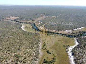 Rural · 5091m² · 20 Vagas · Fazenda à venda, 20 vagas, Distrito Central - Correntina/BA