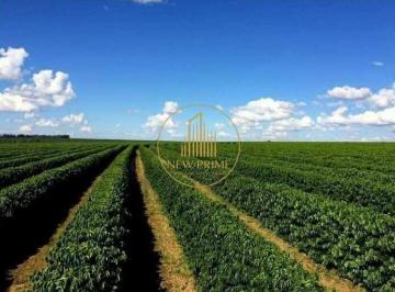 Rural · 3187m² · 20 Quartos · 50 Vagas · Fazenda à venda, 20 quartos, 5 suítes, 50 vagas, Centro - Jequitinhonha/MG