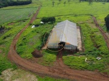 Rural · 160m² · 1 Quarto · 4 Vagas · Fazenda à venda, 1 quarto, 1 suíte, 4 vagas, Área Rural de Unaí - Unaí/MG