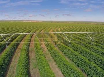 Rural · 20500m² · 10 Quartos · 50 Vagas · Fazenda Cafeeira a venda 2.050 hectares em Buritizeiro Minas Gerais