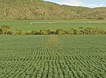 Rural · 355m² · 5 Quartos · 4 Vagas · Fazenda Produtiva à Venda – Unaí/MG