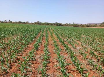 Rural · 491m² · 1 Quarto · 1 Vaga · Fazenda à venda, 1 quarto, 1 suíte, 1 vaga, Centro - Paraopeba/MG