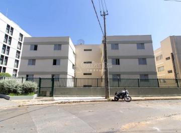 0 · apartamento à venda em Cambuí