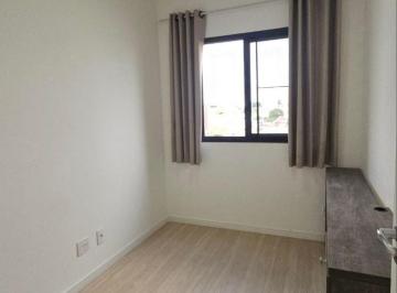 IMG_20260623_031833_000.jpeg · Imperdível apartamento para locação em Parada Inglesa com 2 quartos, 37m² - remaxmamede#35DIH