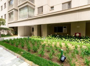 IMG_20260629_001653_000.jpeg · Deslumbrante apartamento para locação em Vila Leopoldina com 2 quartos, 50m² - remaxterra#CRHMZ