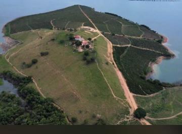 Photo_0 ·
Maravilhosa Fazenda de 95 Hectares | 145 Mil Pés de Café e Frente para o Lago de Fu